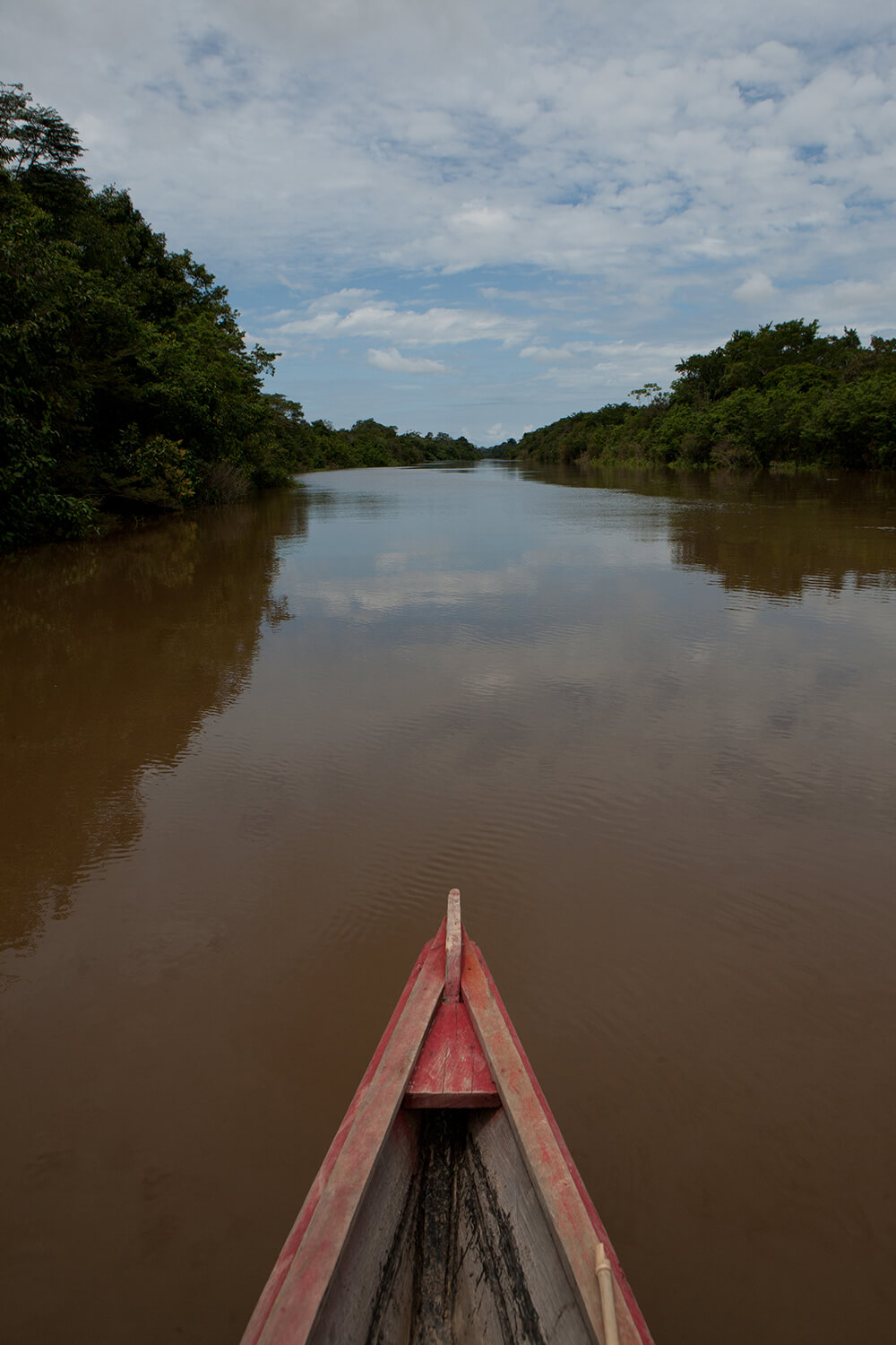 AMAZONAS 13 rio galeria_MG_4028.jpg